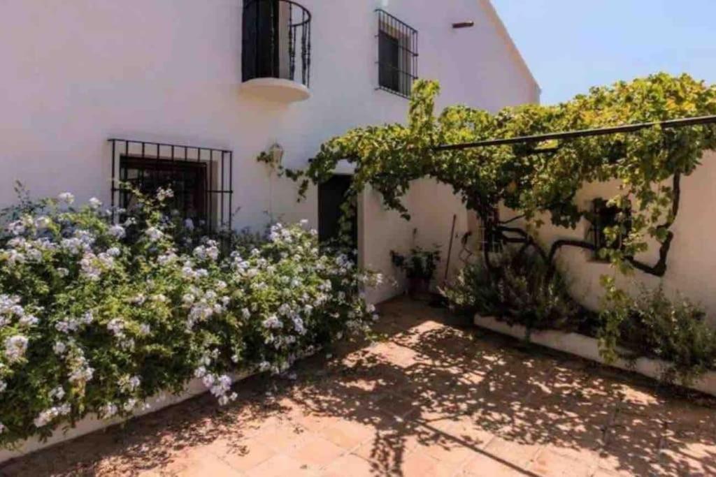Cortijo Nerja Artist Paradise Exterior photo