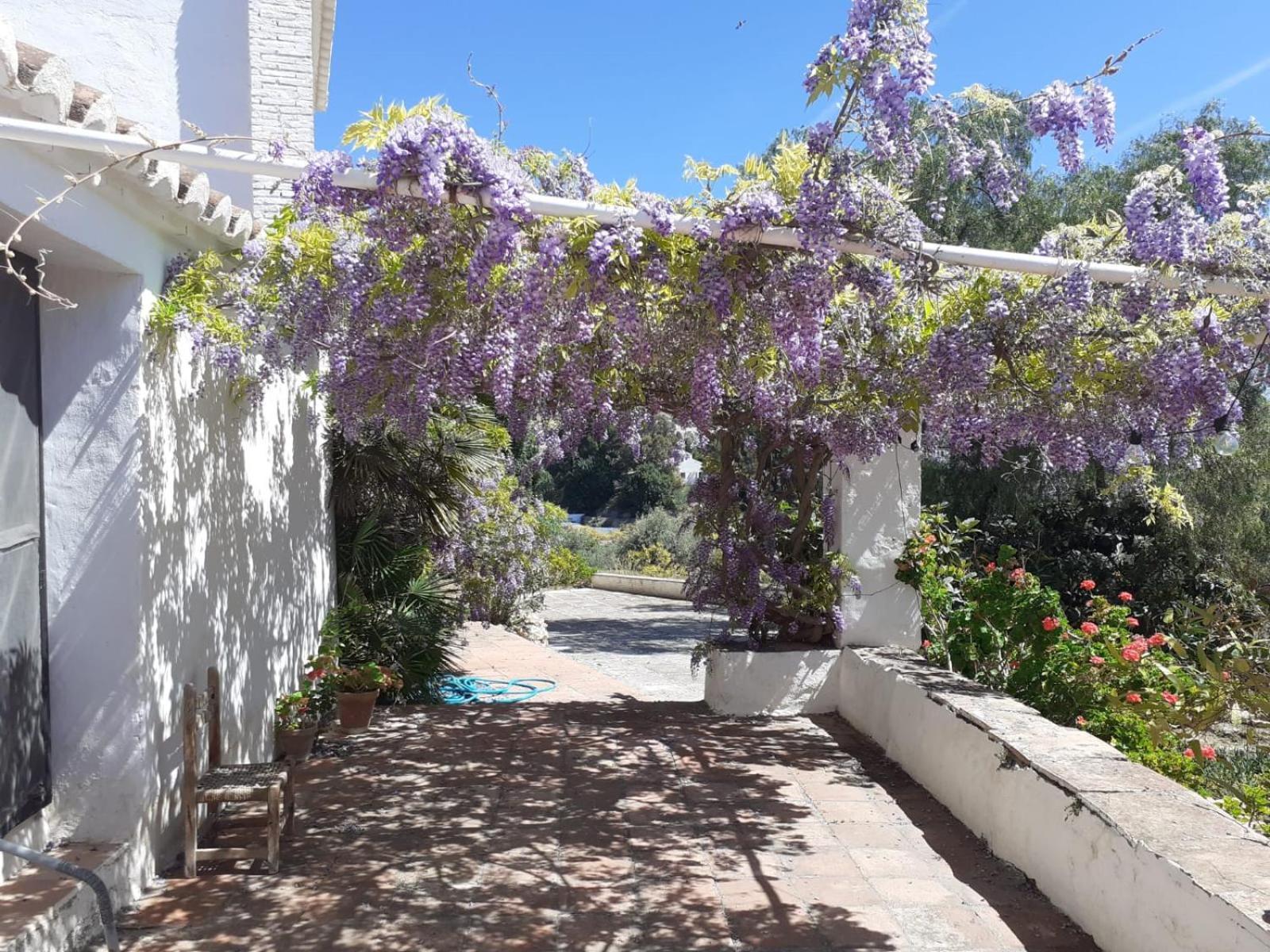 Cortijo Nerja Artist Paradise Exterior photo